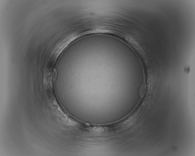 X0000115311177200911161714