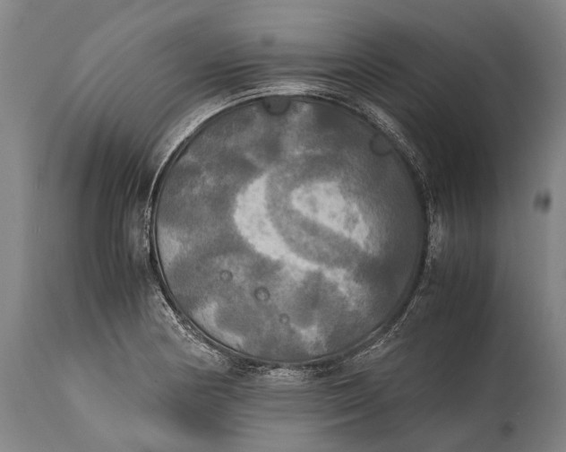 X0000115311178200911161714