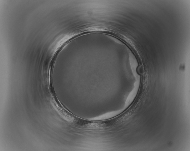 X0000115311179200911161714