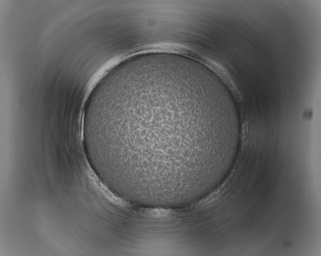 X0000115311180200911161714