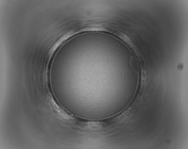 X0000115311181200911161714