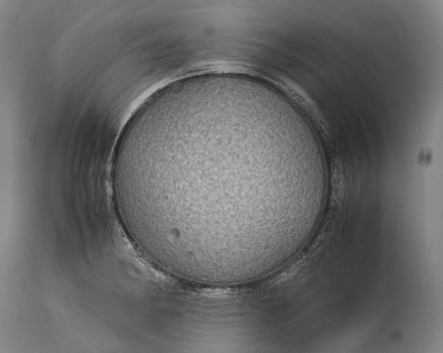 X0000115311182200911161714