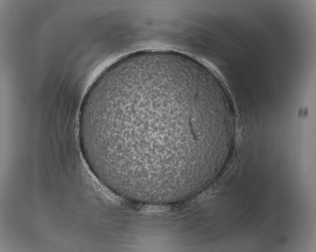 X0000115311183200911161714