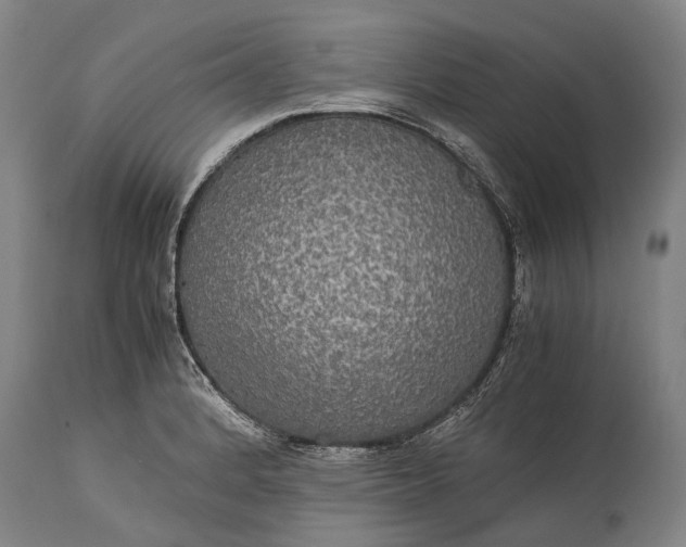 X0000115311184200911161714