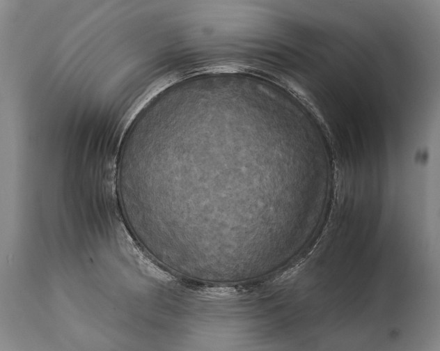 X0000115311186200911161714