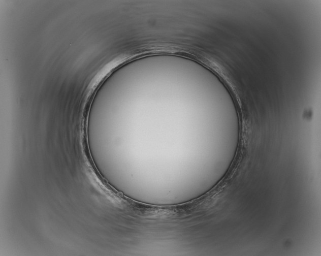 X0000115311187200911161714