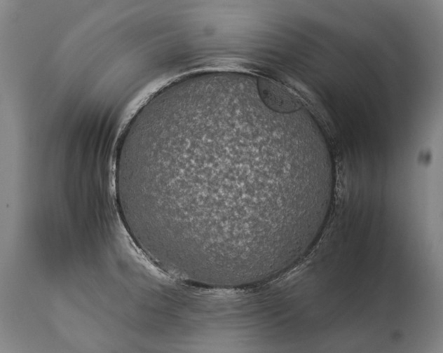 X0000115311188200911161714