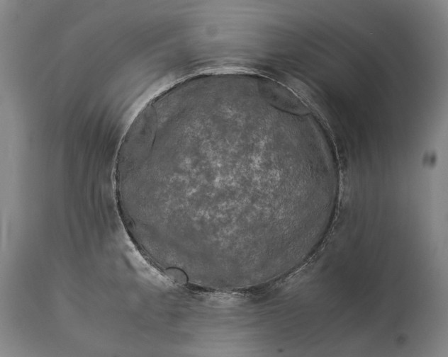 X0000115311189200911161714