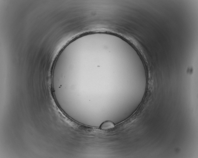 X0000115311191200911161714