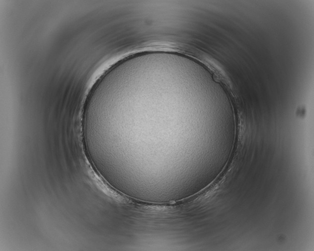 X0000115311192200911161714