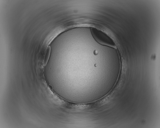 X0000115311193200911161714