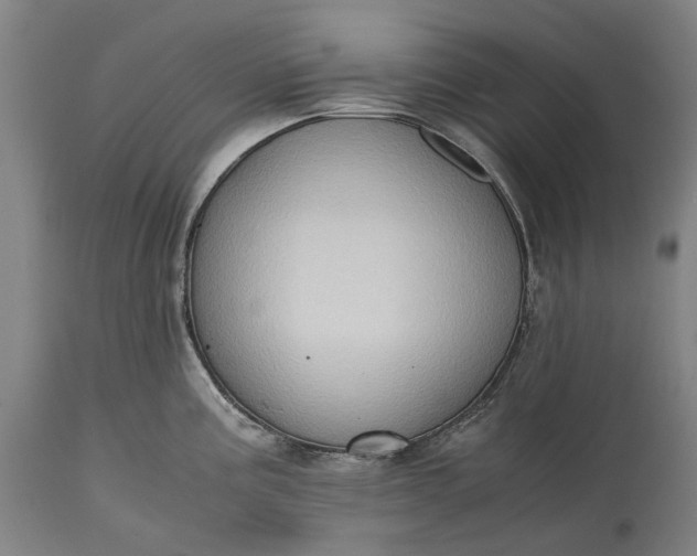 X0000115311195200911161714