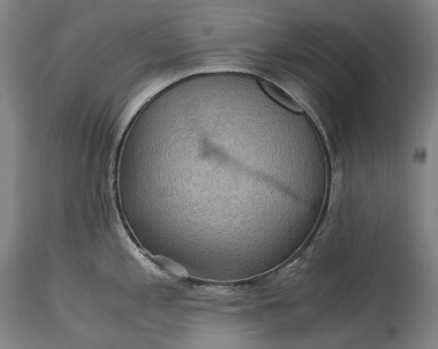 X0000115311197200911161713