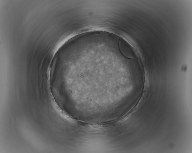 X0000115311198200911161713