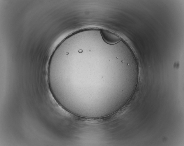 X0000115311199200911161713