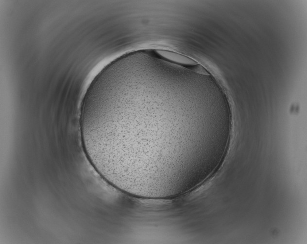 X0000115311200200911161713