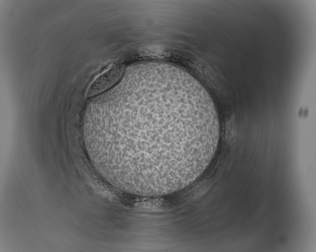 X0000115311201200911161713