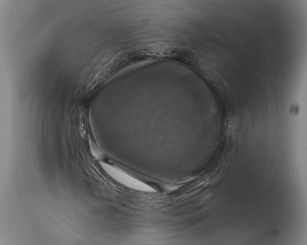 X0000115311202200911161713