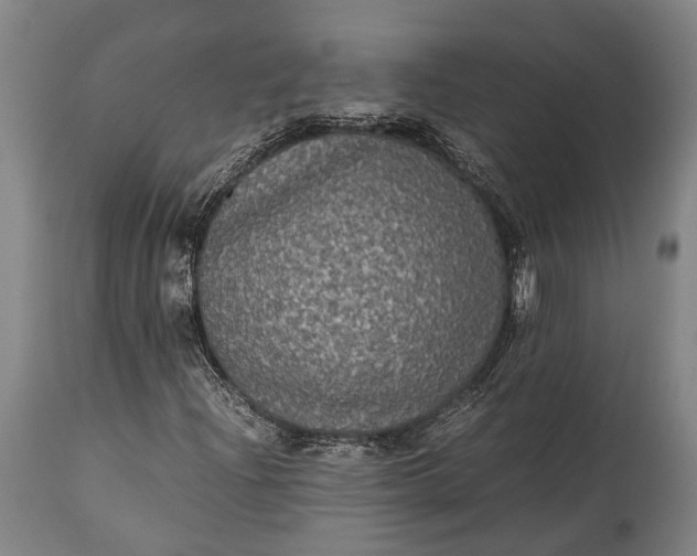 X0000115311204200911161713