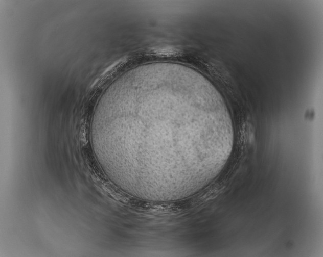 X0000115311205200911161713