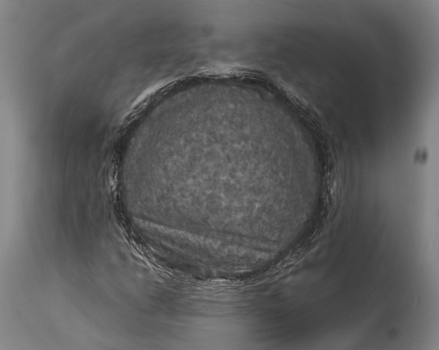 X0000115311206200911161713