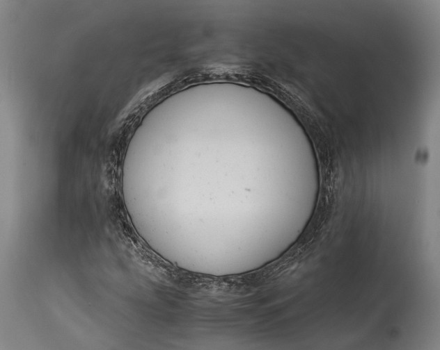 X0000115311207200911161713