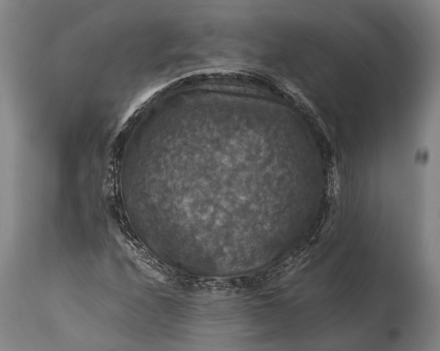 X0000115311208200911161713