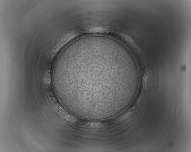 X0000115311209200911161713