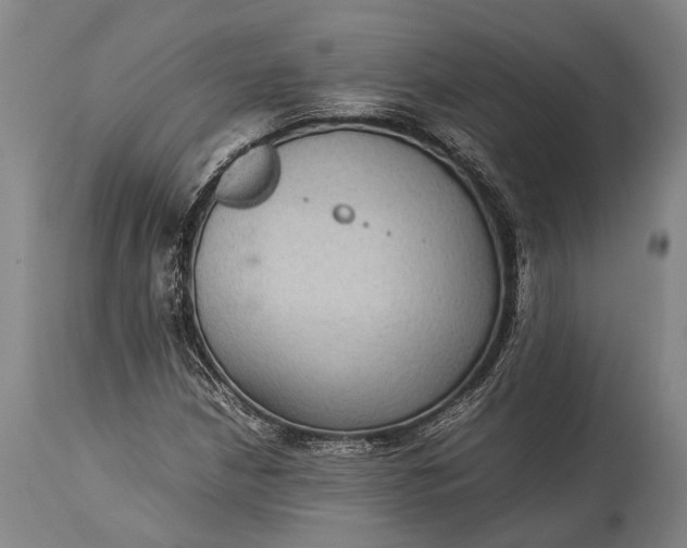 X0000115311210200911161713