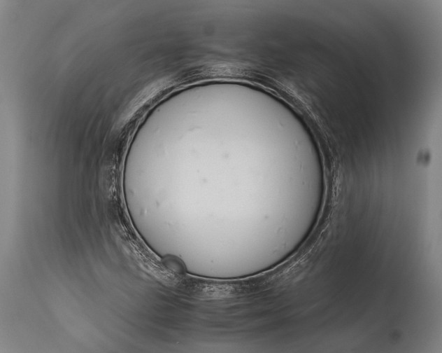 X0000115311211200911161713