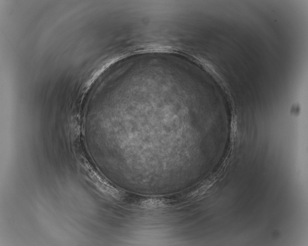 X0000115311212200911161713