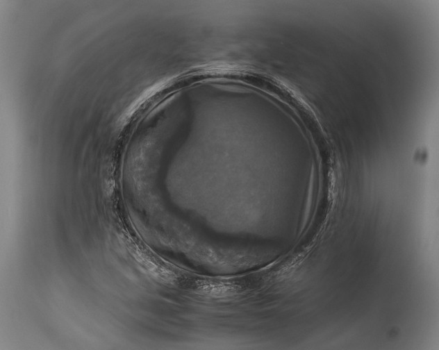 X0000115311213200911161713