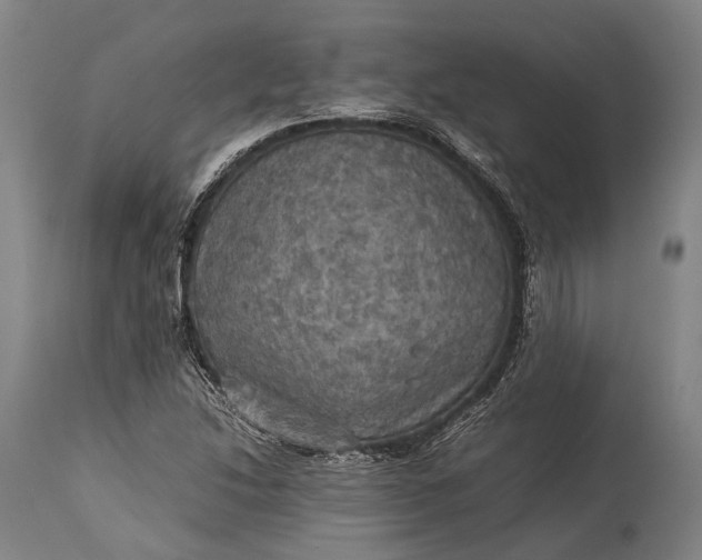 X0000115311214200911161713