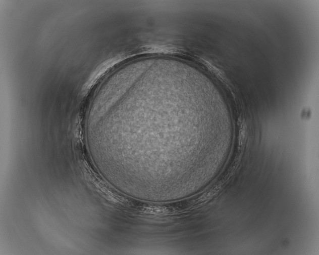 X0000115311215200911161713