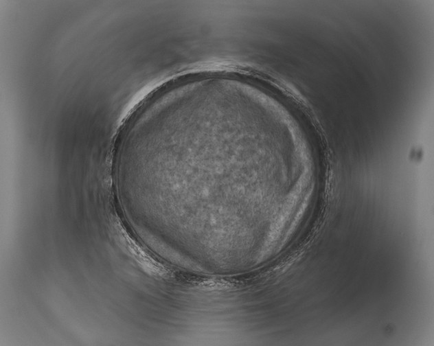 X0000115311216200911161713