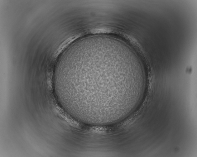 X0000115311217200911161713