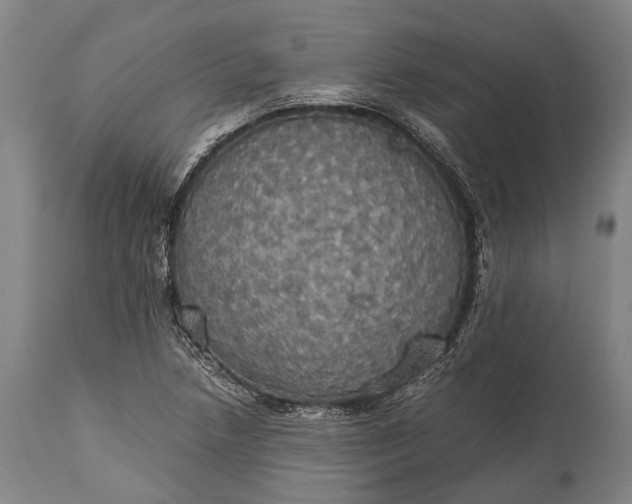 X0000115311218200911161713