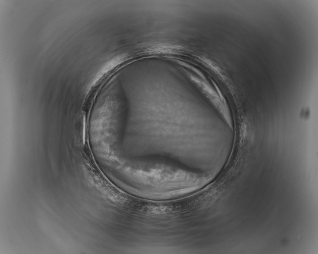 X0000115311219200911161713