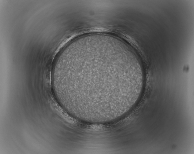 X0000115311220200911161713