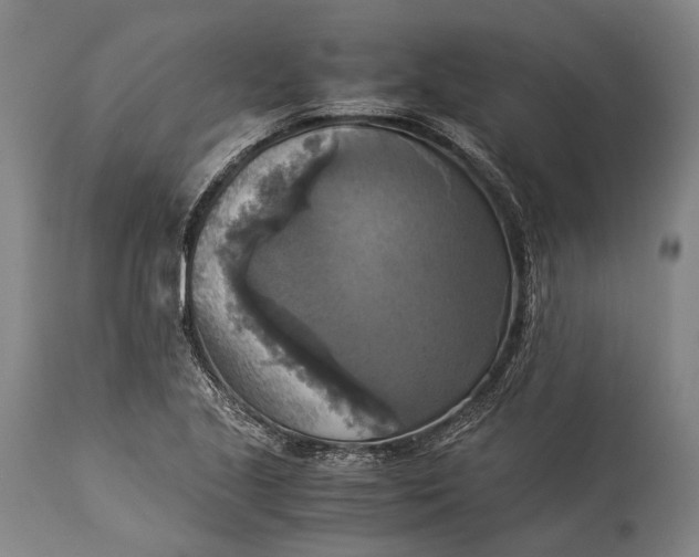 X0000115311221200911161713