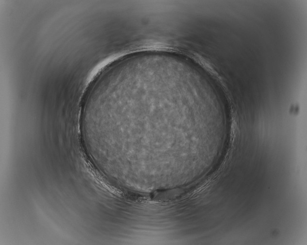 X0000115311222200911161713