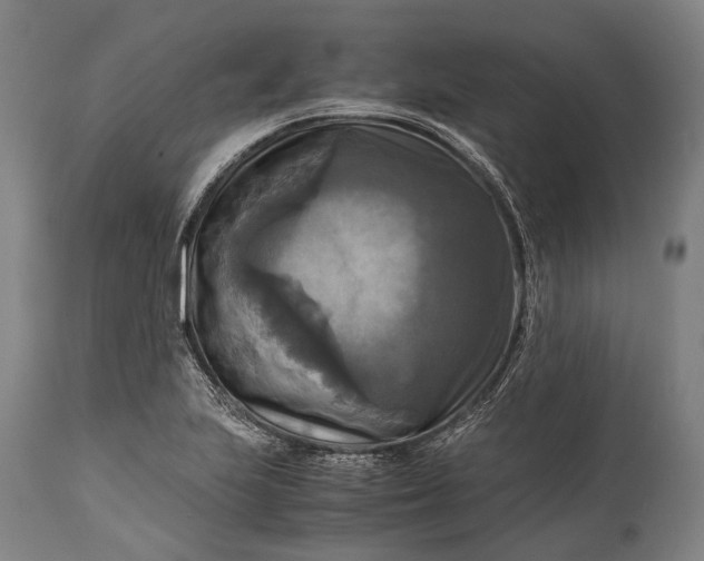 X0000115311223200911161713