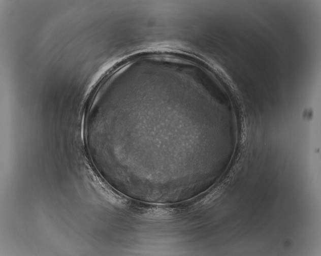 X0000115311224200911161713