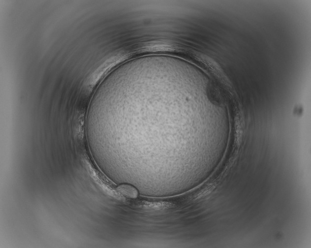 X0000115311225200911161713