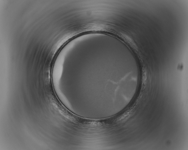 X0000115311226200911161713