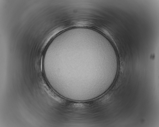 X0000115311227200911161713