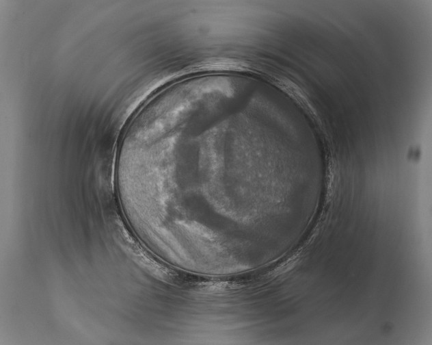 X0000115311228200911161713