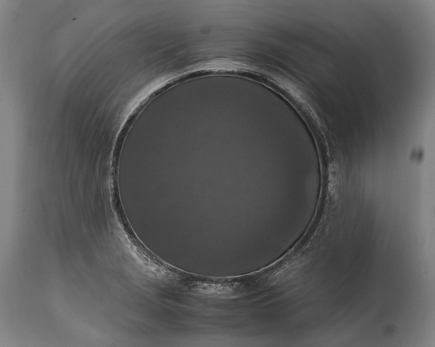 X0000115311229200911161713