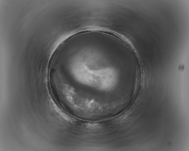 X0000115311231200911161713