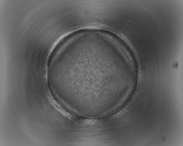 X0000115311232200911161713